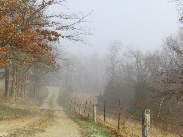 Fog over my driveway - 9am